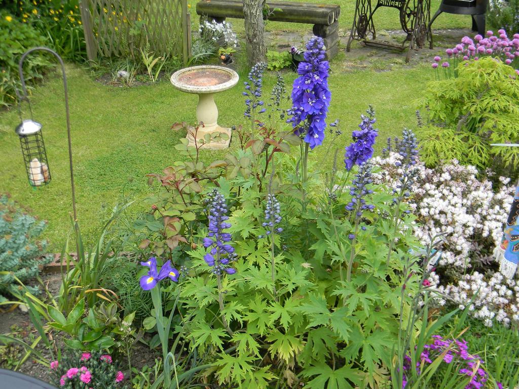 North Sunderland Ugiebrae House Bed & Breakfast מראה חיצוני תמונה